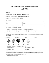 河南省信阳市淮滨县2025_2026学年七年级上学期期中考试生物试题（文字版，含答案）