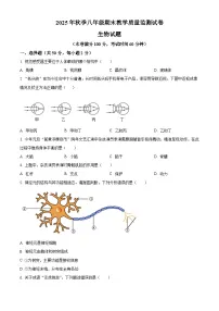 福建省泉州市泉港区2025-2026学年八年级上学期期末生物学试题（试卷+解析）
