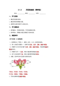 初中人教版（2024）开花和结果导学案