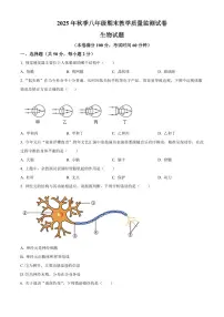 福建省泉州市泉港区2025-2026学年八年级上学期期末生物学试题（试卷+解析）