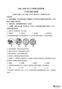 2025—2026学年云南省昆明市嵩明县上学期期末质量监测七年级生物学卷试题（含答案）