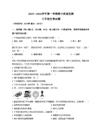 福建省龙岩市长汀县第四中学2025_2026学年八年级上学期11月期中生物试题（文字版，含答案）