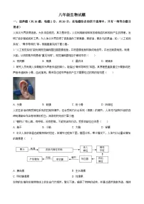 湖北省襄阳市枣阳市2025-2026学年八年级上学期期末生物学试题（试卷+解析）