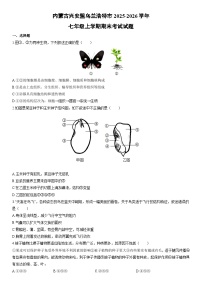 2025-2026学年内蒙古兴安盟乌兰浩特市七年级上学期期末考试生物试卷（学生版）