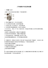 江苏省徐州市沛县树人学校等校2025_2026学年八年级上学期期末考试生物试题（文字版，含答案）