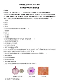 2025-2026学年云南省昆明市七年级上学期期末考试生物试卷（学生版）
