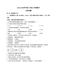 山东省德州市平原县龙门中学等三校联考2025_2026学年八年级上学期11月期中生物试题（文字版，含答案）