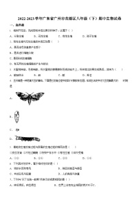 广东省广州市花都区2022-2023学年八年级下学期期中生物试题（含答案）