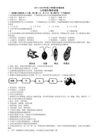 2025-2026学年辽宁省辽阳市七年级上学期1月期末生物试题_(含答案_)
