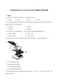 2025-2026学年吉林省延边朝鲜族自治州七年级上学期期末考试生物（含答案）试卷