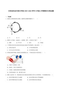 2025-2026学年吉林省松原市扶余市部分学校八年级上学期12月期末测试生物（含答案）试卷