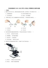 2025-2026学年甘肃省陇南市七年级上学期1月期末考试生物（含答案）试卷