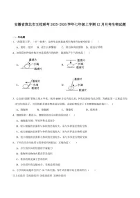 2025-2026学年安徽省淮北市五校联考七年级上学期12月月考生物（含答案）试卷