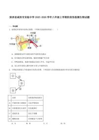 2025-2026学年陕西省咸阳市实验中学八年级上学期阶段性检测生物（含答案）试卷