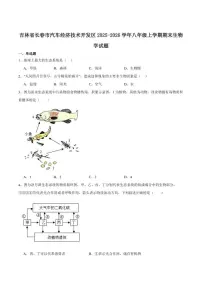 2025-2026学年吉林省长春市汽车经济技术开发区八年级上学期1月期末考试生物试卷（含答案）