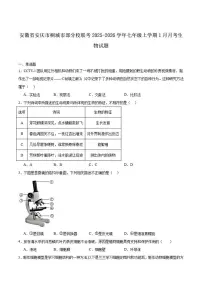 2025-2026学年安徽省安庆市桐城市部分校联考七年级上学期1月月考生物试卷（含答案）