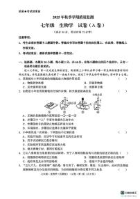云南省文山壮族苗族自治州文山市2025--2026学年七年级上学期期末质量检测生物试卷（含答案）