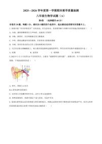 2025-2026学年安徽省合肥市庐江县八年级上学期期末生物学A（无答案）试题