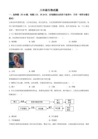 2025-2026学年湖北省襄阳市枣阳市八年级上学期期末生物学（无答案）试题