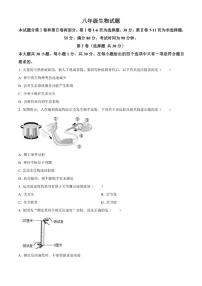 2025-2026学年山东省青岛市崂山区八年级上学期期末生物学（无答案）试题