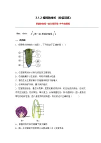 初中生物人教版（2024）七年级下册（2024）植株的生长课堂检测