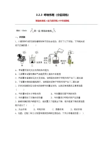 初中生物人教版（2024）七年级下册（2024）呼吸作用当堂检测题