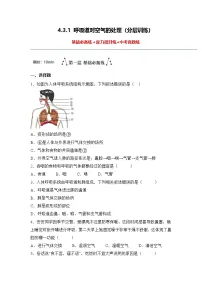 初中生物人教版（2024）七年级下册（2024）呼吸道对空气的处理同步训练题