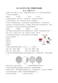 2025-2026学年天津市红桥区七年级上学期期末生物试题（含答案）