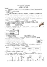 2025-2026学年山东省泰安市肥城市七年级上学期期末考试生物试题（含答案）