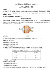 2025-2026学年山东省临沂市兰山区八年级上学期期末生物试卷（学生版）