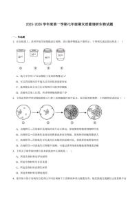 2025-2026学年安徽省合肥市琥珀中学等校七年级上学期1月期末考试生物试卷（含答案）