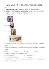 山东聊城市2025-2026学年第一学期期末学业水平检测八年级生物试题（试卷+解析）