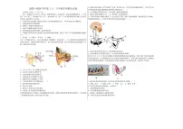 2025-2026学年黑龙江省大兴安岭地区松岭区两校联考八年级上学期1月期末考试生物试卷（含答案）