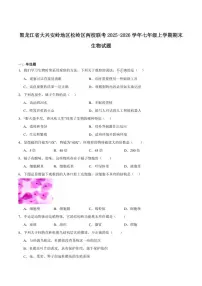 2025-2026学年黑龙江省大兴安岭地区松岭区两校联考七年级上学期1月期末考试生物试卷（含答案）