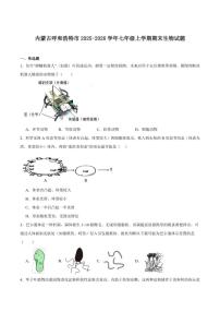 2025-2026学年内蒙古呼和浩特市七年级上学期期末考试生物试卷（含答案）
