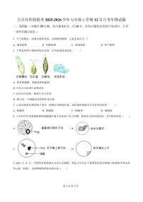 2025-2026学年江苏省盐城市大丰区四校联考七年级上学期12月月考生物试卷（含答案）
