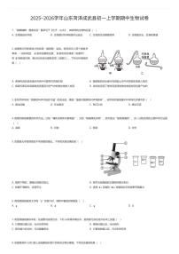 2025~2026学年山东菏泽成武县初一上学期期中生物试卷（有答案解析）