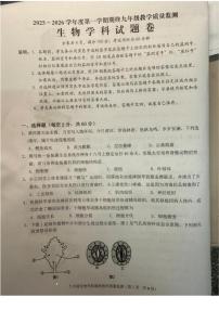2025-2026学年广东省揭阳市普宁市九年级上学期1月期末生物_(含答案_)试题
