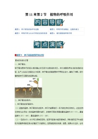 苏教版（2024）七年级下册（2024）植物的呼吸作用精品学案设计