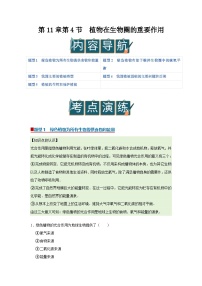初中生物苏教版（2024）七年级下册（2024）第4节 植物在生物圈中的重要作用优秀导学案及答案