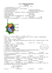 2025-2026学年湖南省衡阳市衡南县七年级上学期期末考试生物试题（含答案）