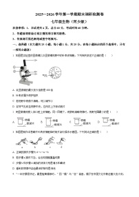 河北衡水市桃城区2025-2026学年七年级上学期期末生物学试题（试卷+解析）