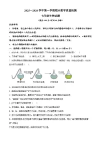 山东省德州市禹城市2025~2026学年第一学期期末教学质量检测七年级生物试题（试卷+解析）