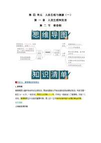 生物七年级下册（2024）青春期优质学案