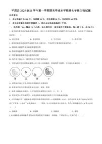 山东德州市平原县2025-2026学年第一学期期末学业水平检测七年级生物试题（试卷+解析）