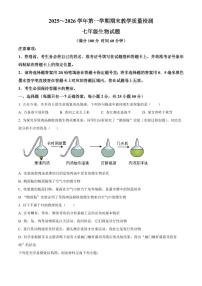 山东省德州市禹城市2025~2026学年第一学期期末教学质量检测七年级生物试题（试卷+解析）