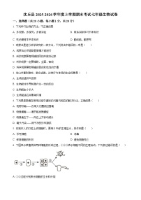 河南周口市沈丘县2025-2026学年度上学期期末考试七年级生物试卷（试卷+解析）
