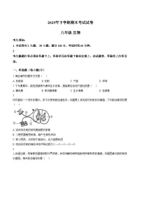 湖南省衡阳市市区2025_2026学年八年级上学期1月期末生物试题（文字版，含答案）