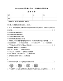 辽宁省锦州市太和区2025_2026学年七年级上学期期中质量检测生物试卷（文字版，含答案）