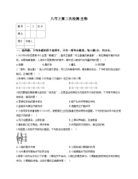 吉林省四平市2025_2026学年八年级上学期第三次检测生物试题（文字版，含答案）